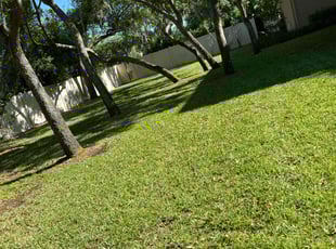 J'enay S.'s Lawn Service service result
