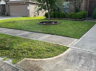 gloria s.'s Lawn Care service result