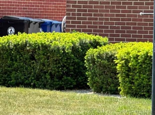 Cleanups by Samuel Dorman for Kevin C. in West Bloomfield Township, MI
