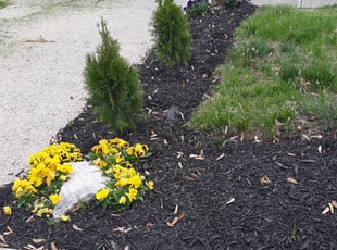 Mulching by Dion Cobb for Kristan M. in Cincinnati, OH