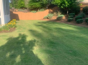 Pam F.'s Lawn Mowing Service service result
