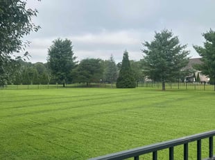 David S.'s Lawn Service service result