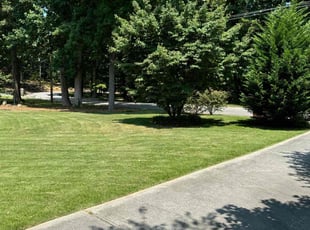 Johnny T.'s Grass Cutting service result