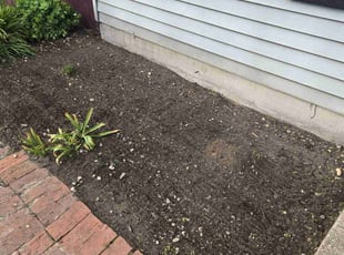 Weeding by Billy Stone for Joy G. in Edgewood, MD