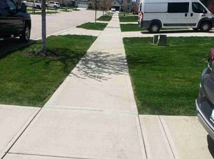 Amy S.'s Lawn Mowing service result