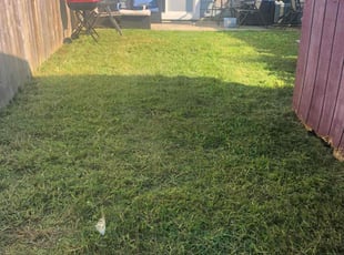 Crystal F.'s Yard Cutting service result