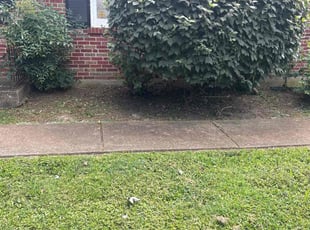 Weeding by Otis Nickles for Scott T. in Florissant, MO