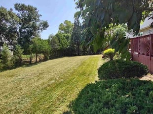 David H.'s Lawn Service service result