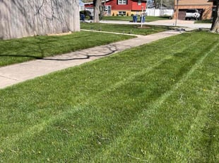 Sharon W.'s Lawn Mowing service result