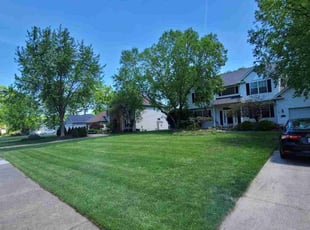 August D.'s Lawn Care service result
