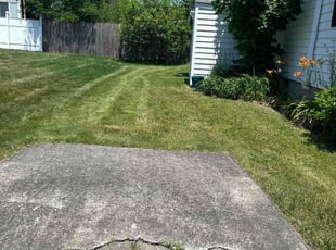 Dawn Marie G.'s Lawn Service service result