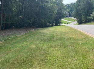 Anthony H.'s Lawn Care service result