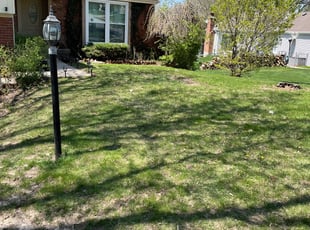 Leaf Removal by Zachary Mickens for Gerald B. in Kansas City, MO