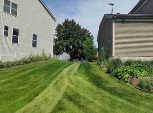 Rosalind B.'s Lawn Care service result