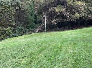 Tony P.'s Lawn Mowing Service service result