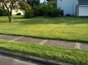 Richard G.'s Lawn Mowing service result