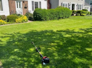 Brian G.'s Yard Cutting service result