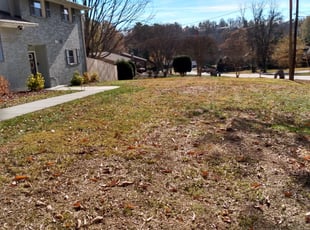 Cleanups by William Akers for Blair S. in Charlotte, NC