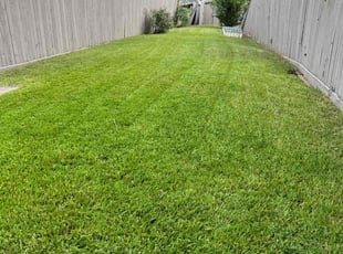 Ian D.'s Lawn Service service result