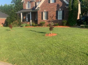 Wesley M.'s Lawn Mowing service result