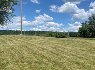 Tiffany H.'s Lawn Care service result