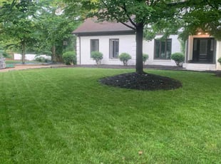 Wilborn N.'s Lawn Care service result