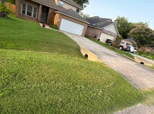 Denise L.'s Lawn Mowing service result