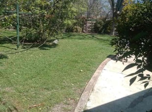 Daphne G.'s Lawn Maintenance service result