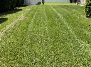 Wendy D.'s Lawn Mowing service result