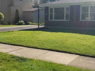 Bharat K.'s Grass Cutting service result