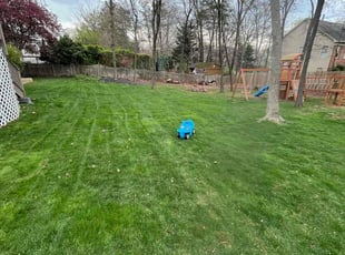 undefined F.'s Yard Cutting service result