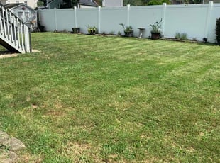 Linda D.'s Lawn Service service result