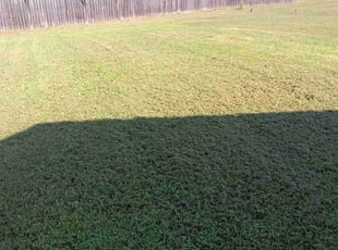 Matthew A.'s Lawn Service service result