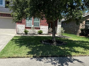 Paula C.'s Yard Cutting service result