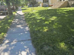 Thomas G.'s Lawn Mowing service result