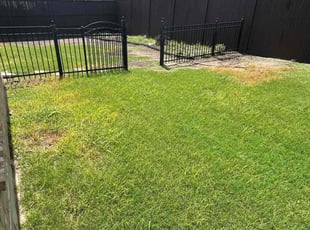 Cleanups by Francisco Bermudez for Byron P. in Mansfield, TX