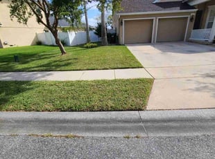 Tracy H.'s Lawn Mowing service result