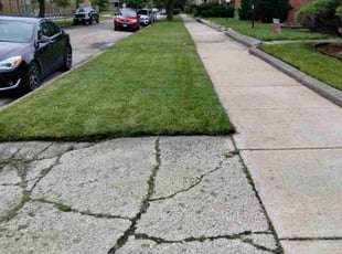 Phyllis e.'s Lawn Mowing service result