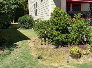 Bush Trimming by Dominque Medlin for Sri H. in Apex, NC