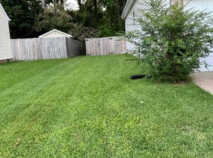Patrice B.'s Lawn Maintenance service result