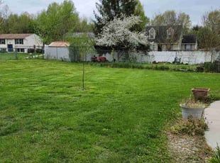Carol D.'s Yard Cutting service result