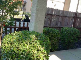 Bush Trimming by Wilfredo Nunez for Ehsan G. in Sacramento, CA
