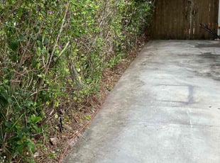 Cleanups by Kyle Vaitas for Melanie L. in Sarasota, FL