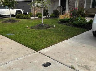 Heidi N.'s Grass Cutting service result