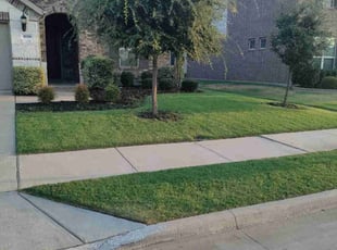 Connor S.'s Lawn Service service result