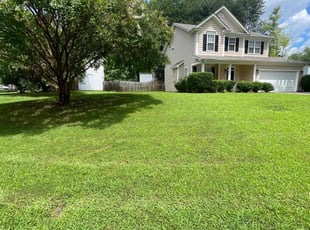 Thaissa V.'s Lawn Service service result