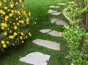 Patricia S.'s Lawn Service service result