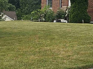 Shannon W.'s Grass Cutting service result