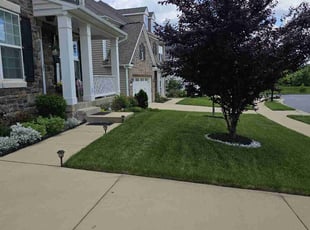 Jason H.'s Lawn Service service result