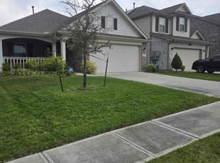 Renona P.'s Grass Cutting service result